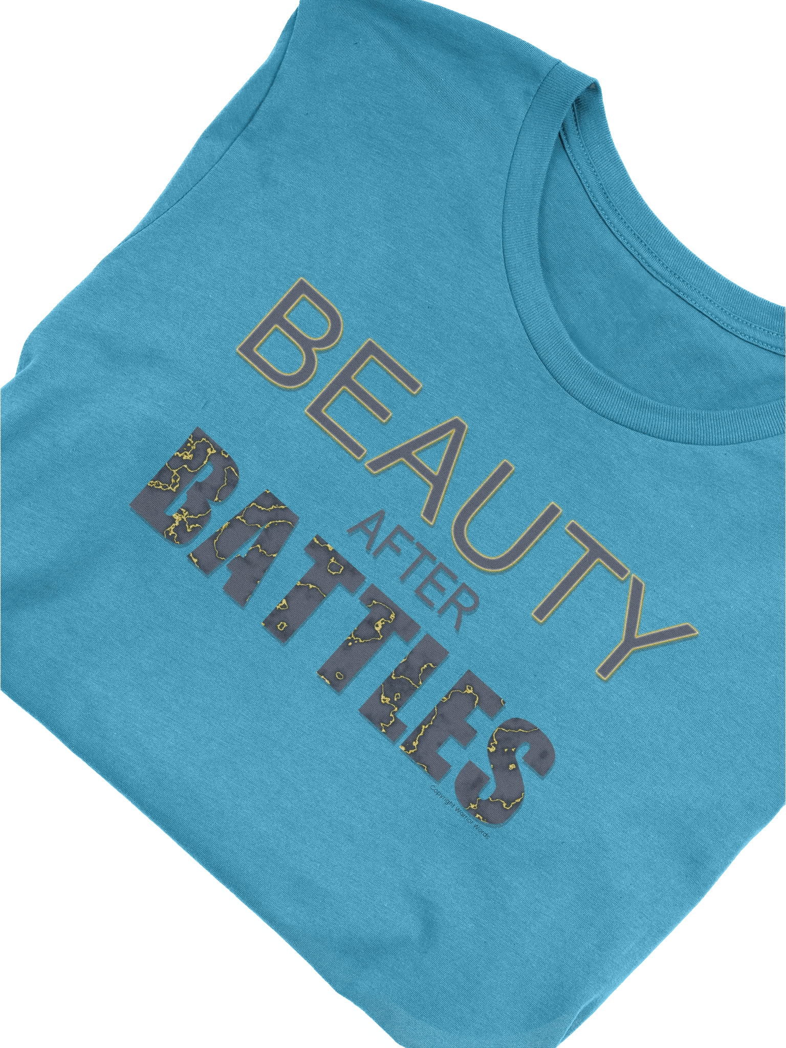 Beauty After Battles Logo Shirt - Colors product image (48)