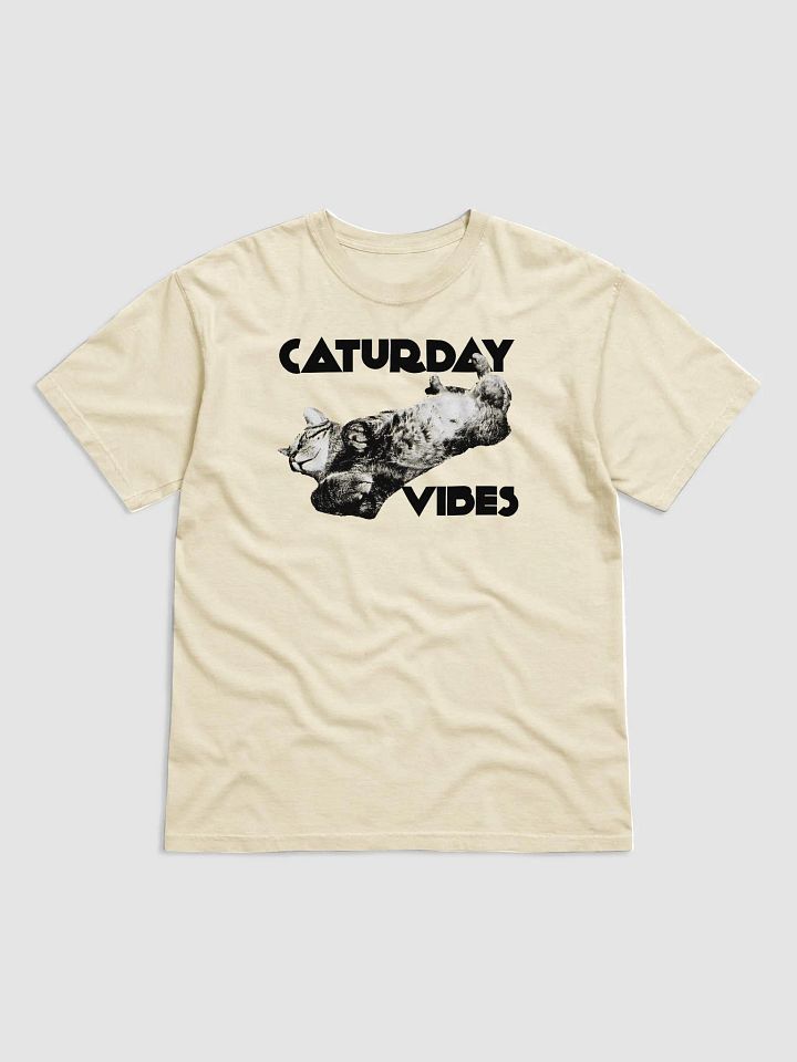 Caturday Vibes Tee product image (1)