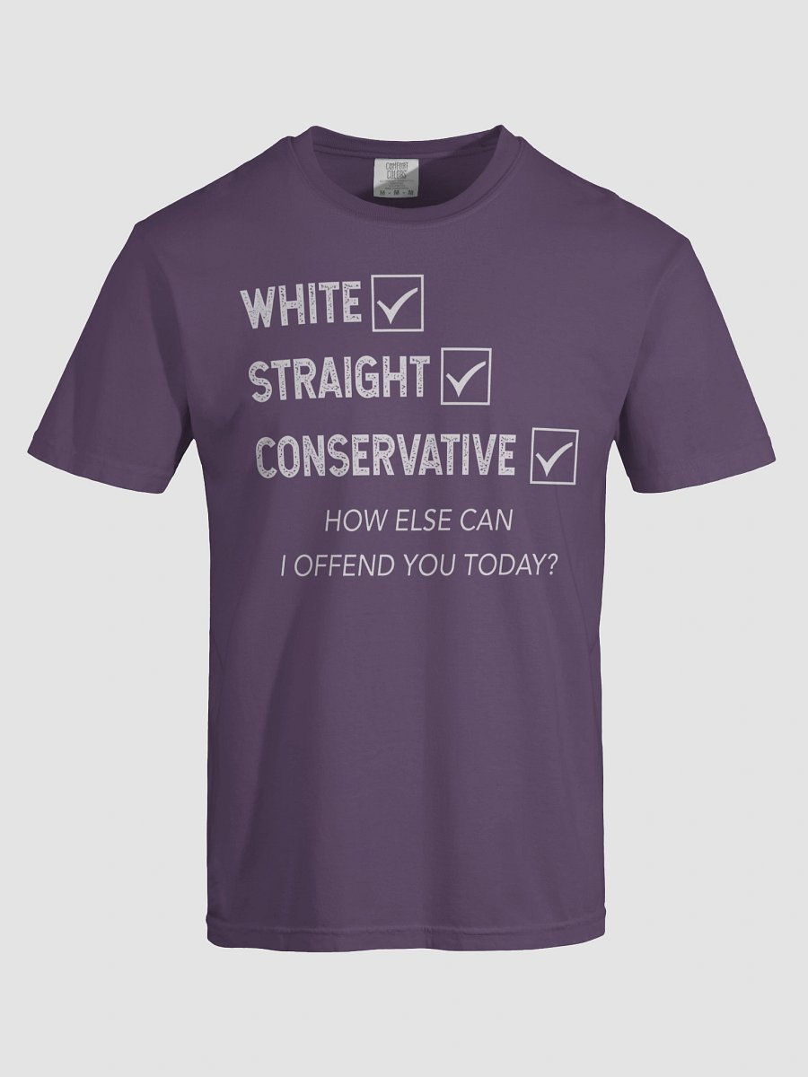 White Straight Conservative How Else Can I Offend You Today Shirt product image (7)