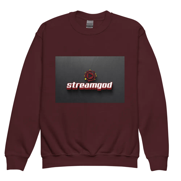 maroon youth STREAMGOD sweater #2 product image (2)