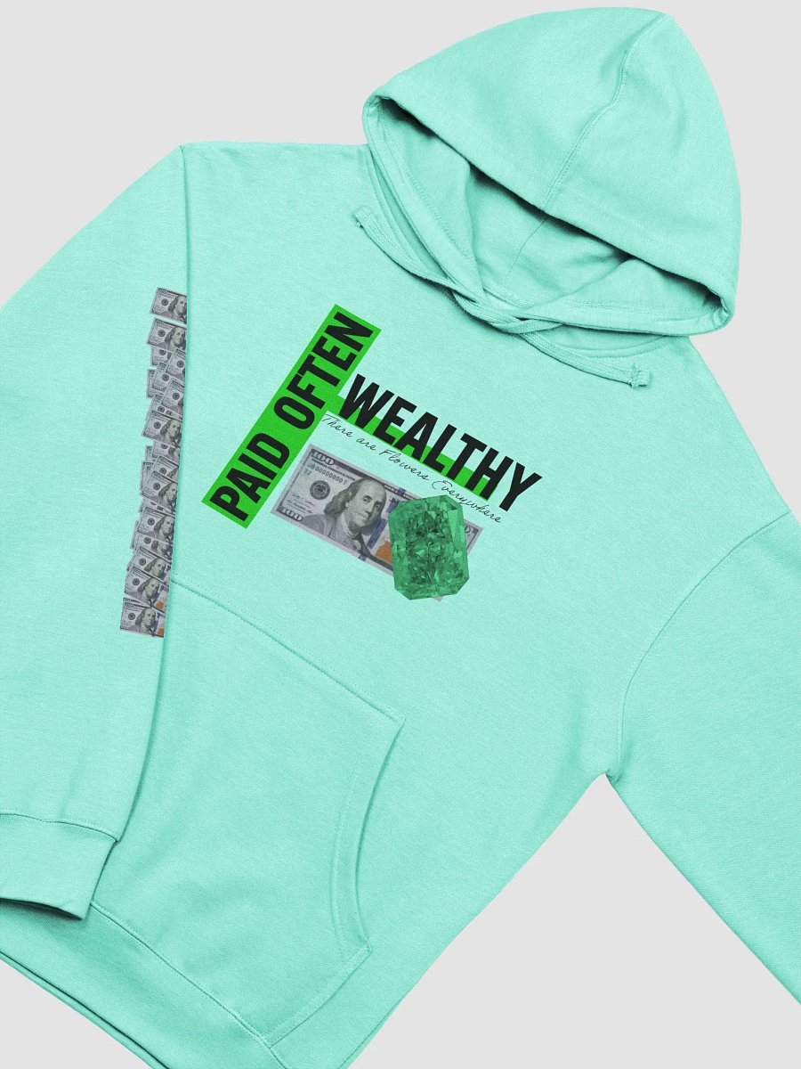 FAST GREEN Wealthy & Paid Often Hoodie product image (17)