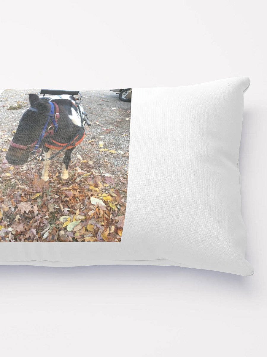 farm dog product image (5)