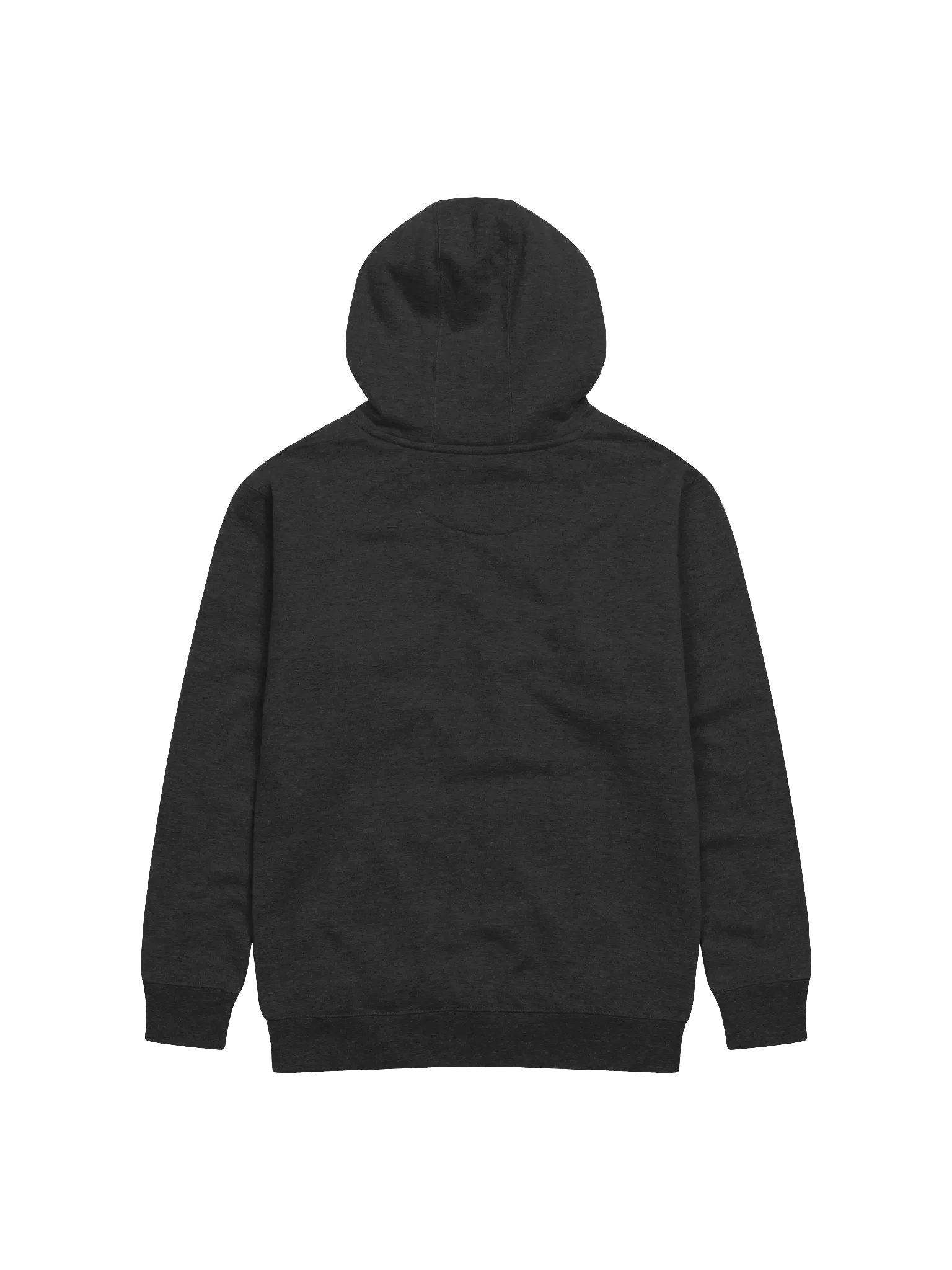 Today is the Day Hoodie (loud) product image (5)