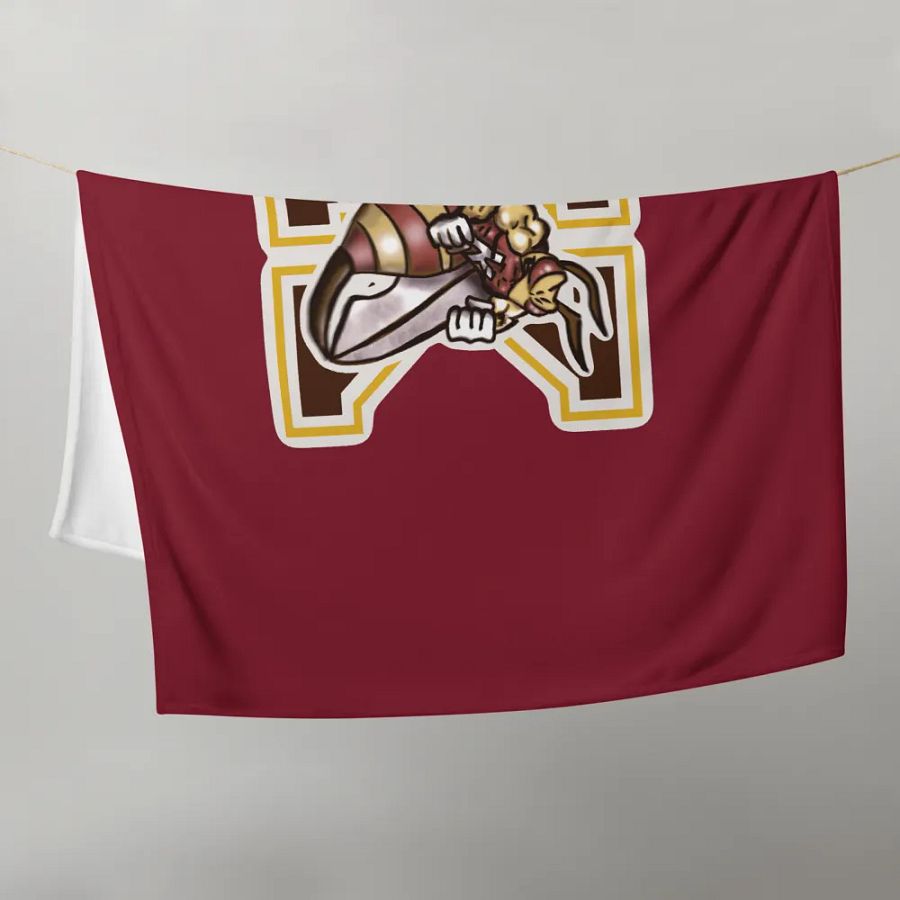 KERMIT BLANKET product image (21)