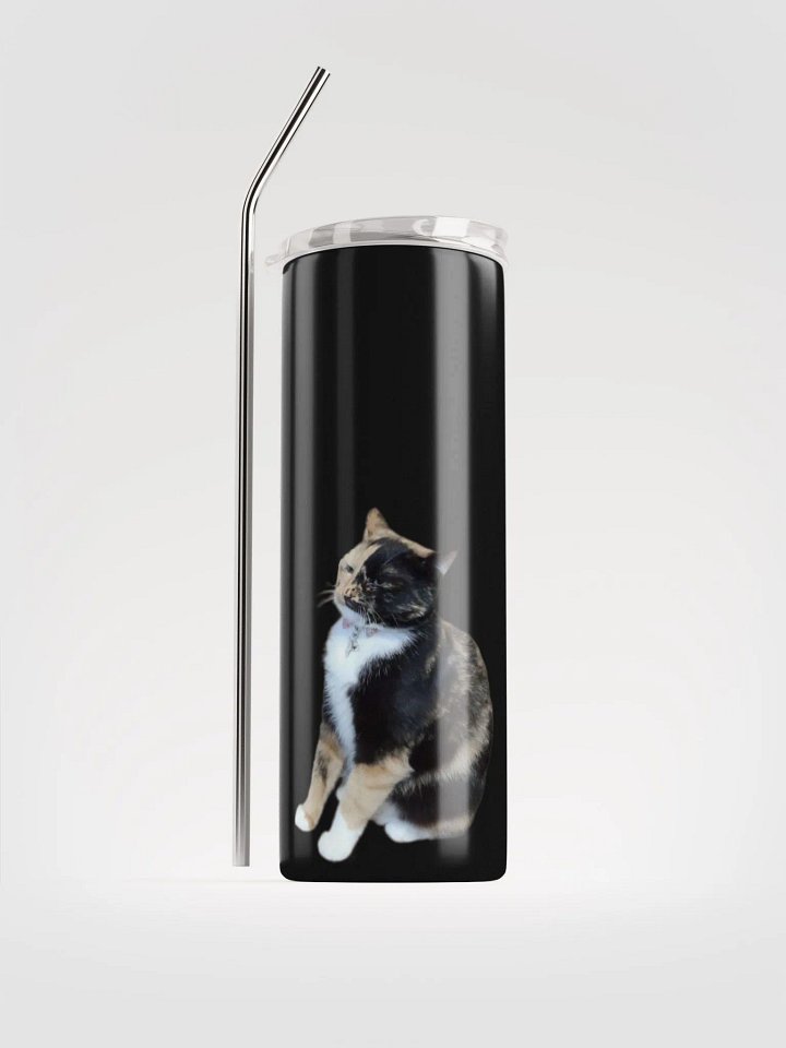 Lyra Judgment Stainless Steel Tumbler product image (1)