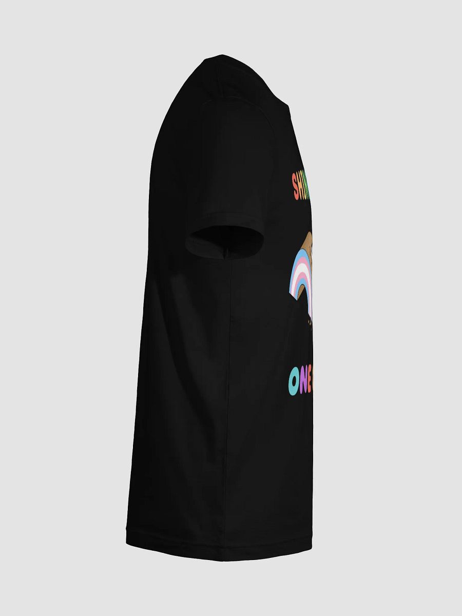 Shine Bright Trans Pride Shirt product image (126)