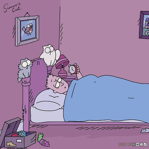 Do not feed the Gremlins after 12! 😱