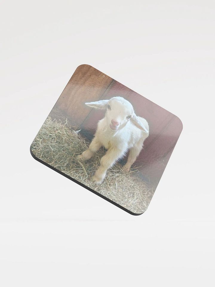Baby Whiskey coaster product image (1)