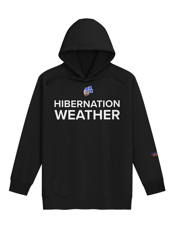 Hibernation Weather Hoodie product image (1)
