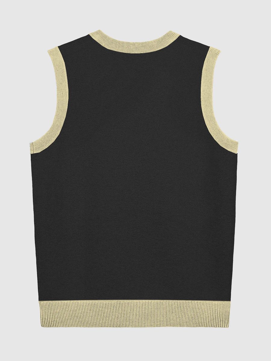 604 Vibes Knitted V-Neck Vest product image (7)