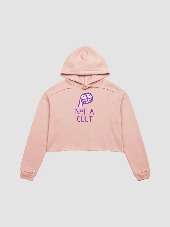 Not a Cult Crop Hoodie product image (4)