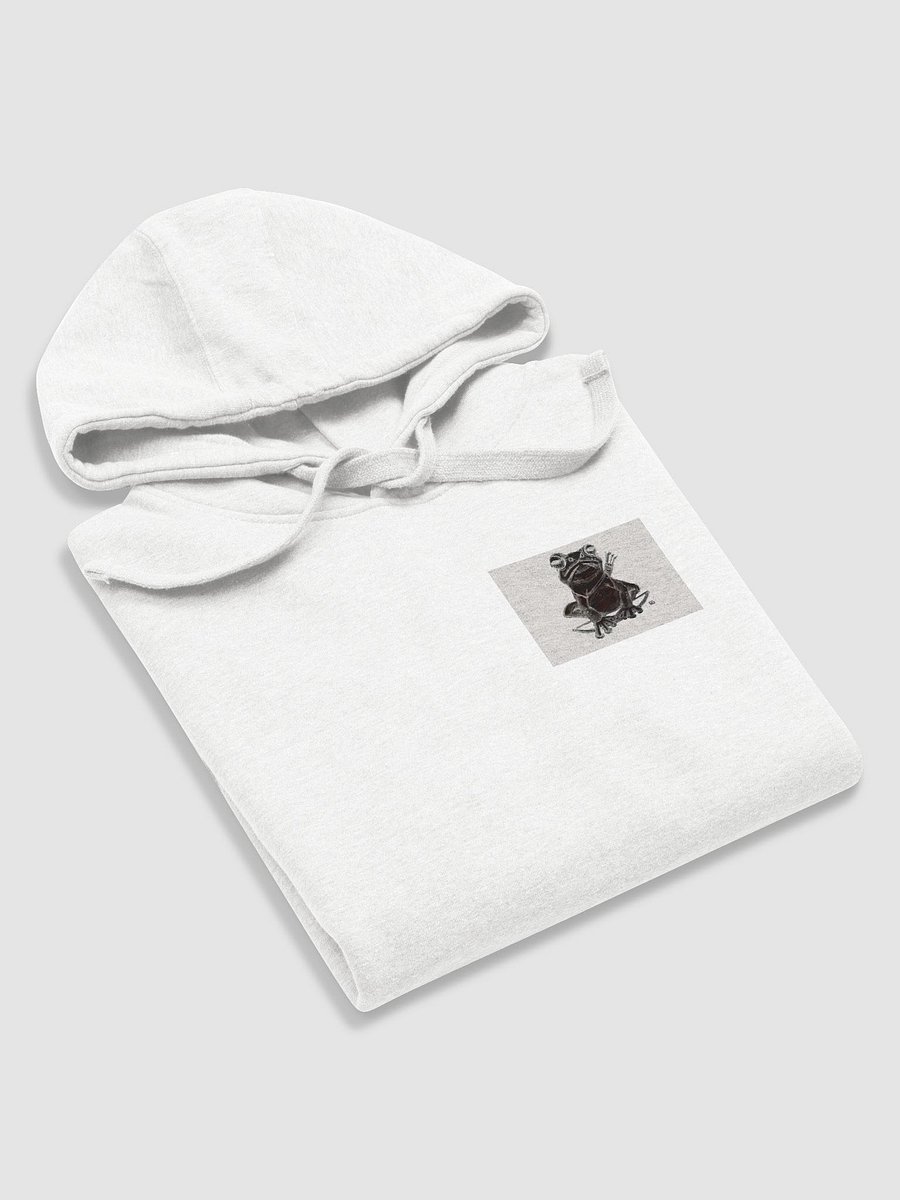 the equatorial Amazon frog product image (5)