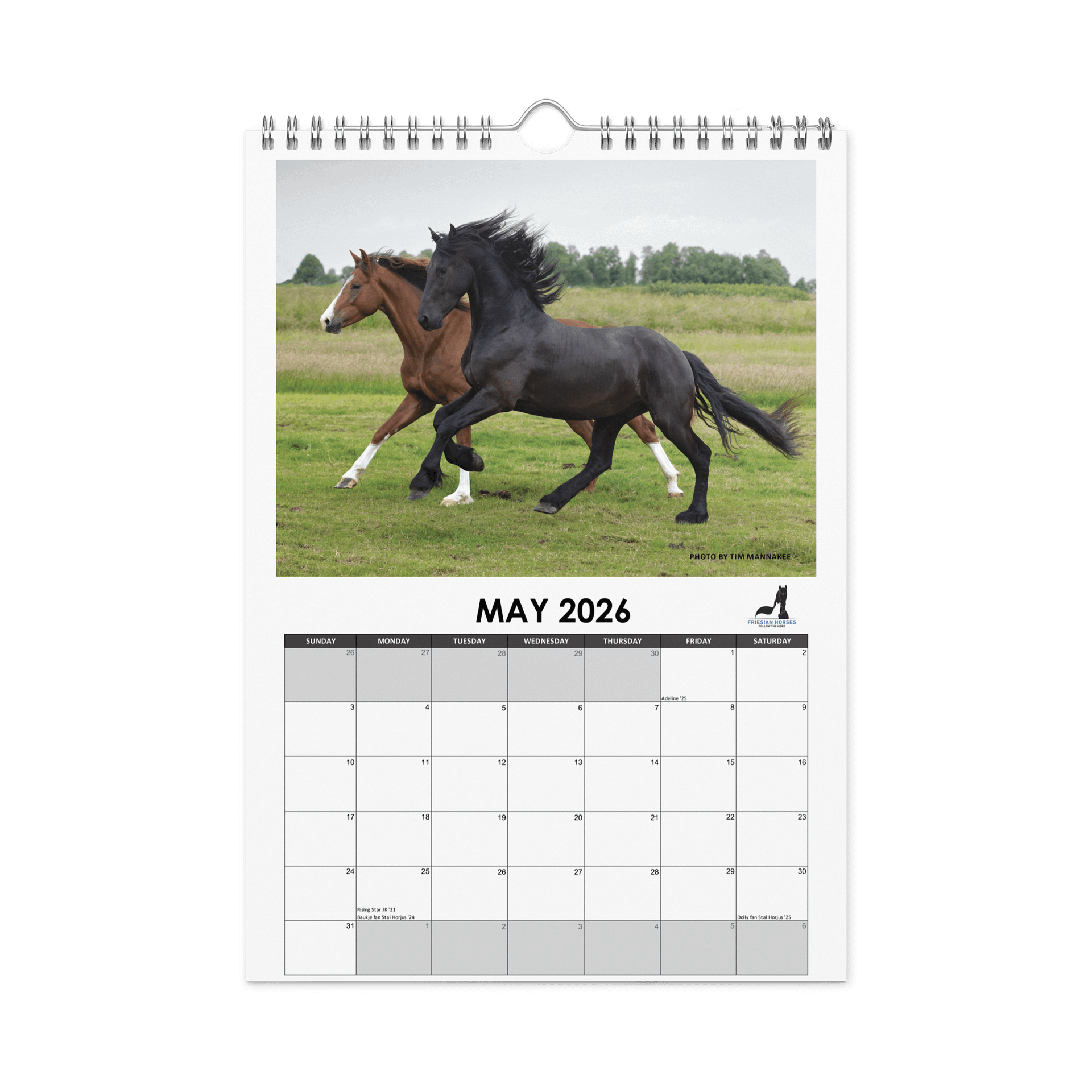 Friesian horses 2026 Wall Calendar product image (10)