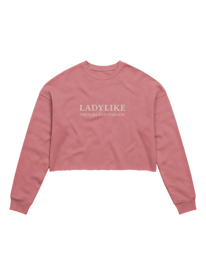 Confetti Chic Fleece Crop Sweatshirt product image (1)