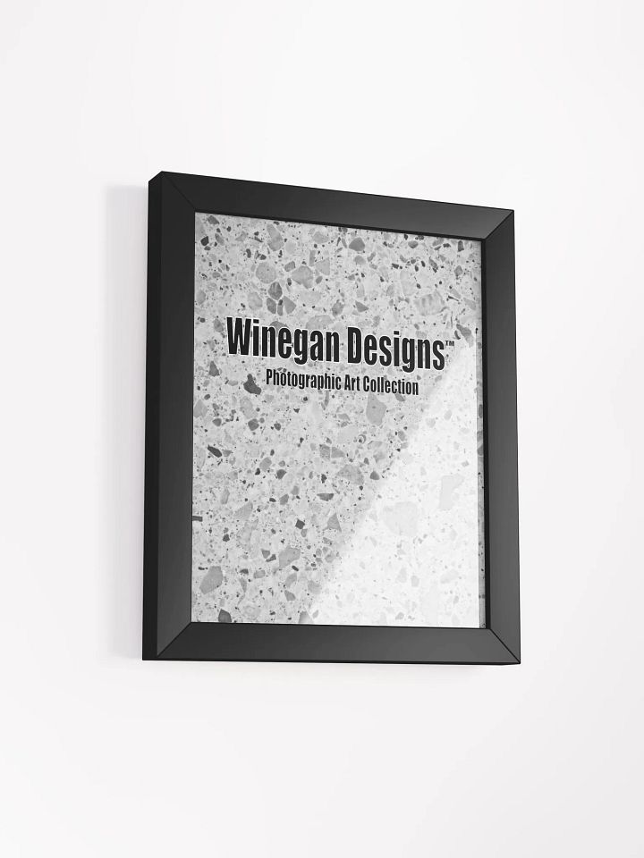 Winegan Designs™ Photographic Art Collection Matte Poster in Ayous Wood Frame product image (9)