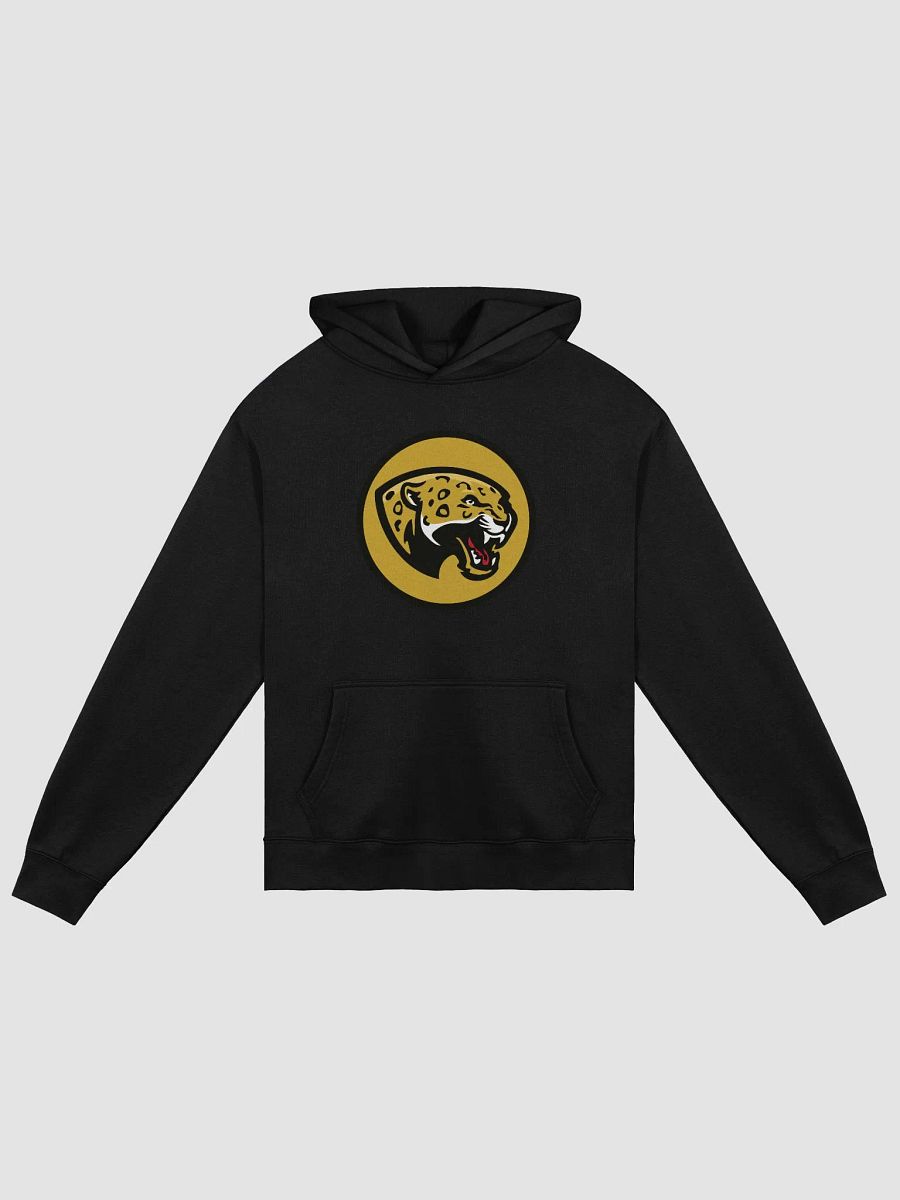 JBL1 Mexico City Jaguars Hoodie product image (1)