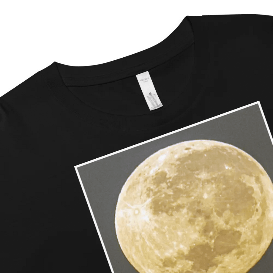 Christ the Redeemer Holding the Moon product image (8)