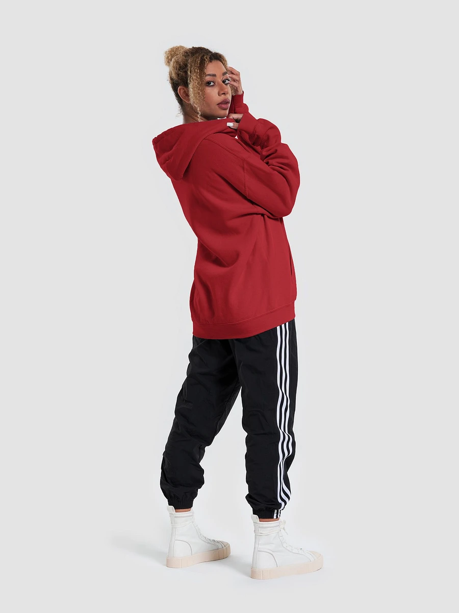 The Audacity Network - Red Hoodie product image (6)