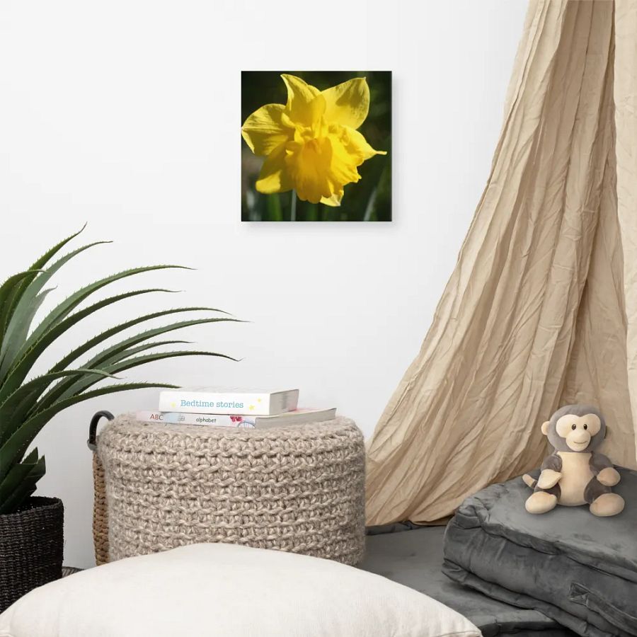 Daffodil product image (7)