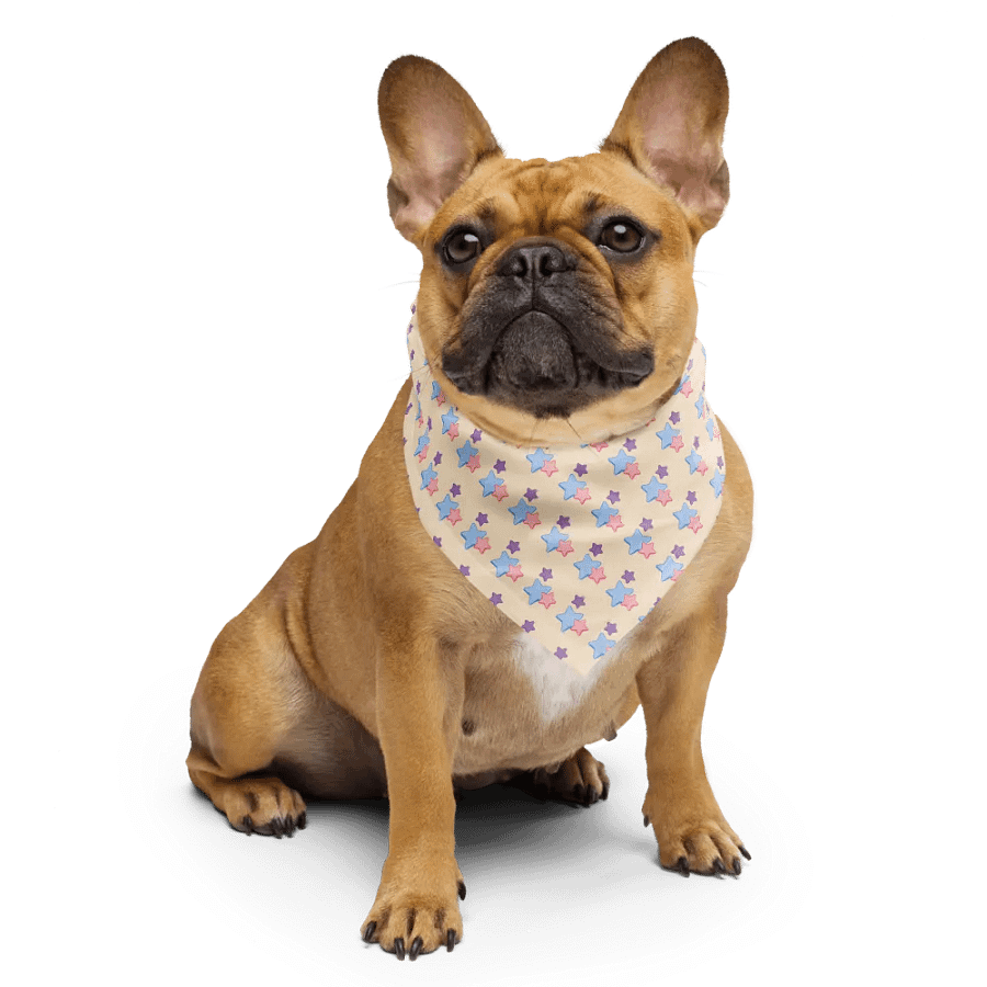 Be a Star Bandana product image (5)