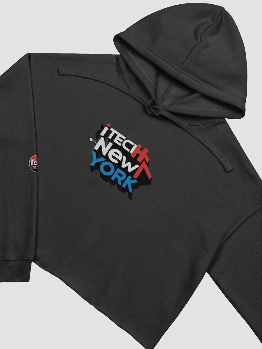 iTechNewYork Nombre + Circle Logo Cropped Hoodie product image (3)
