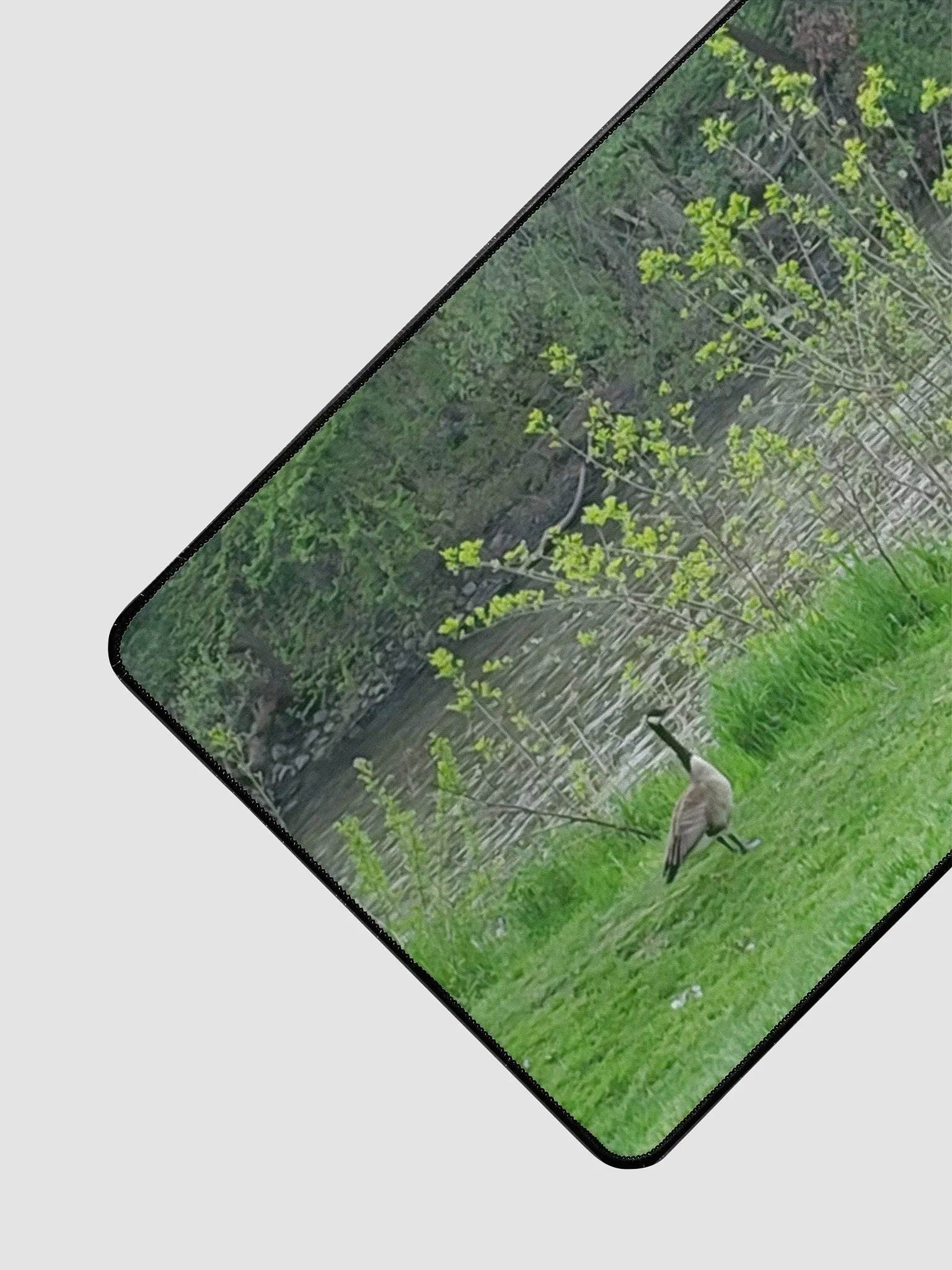 Canadian Goose Family Desk Mat product image (3)