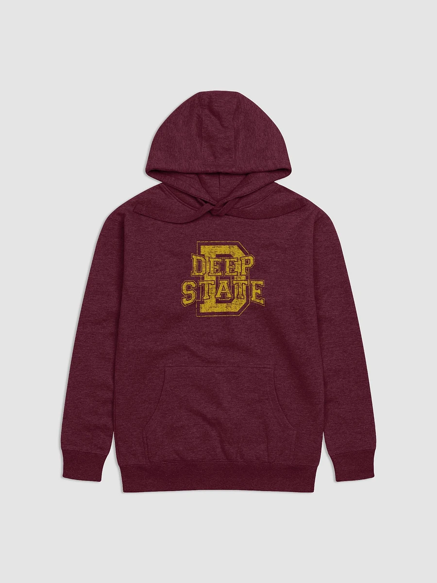 Deep State Premium Hoodie product image (1)