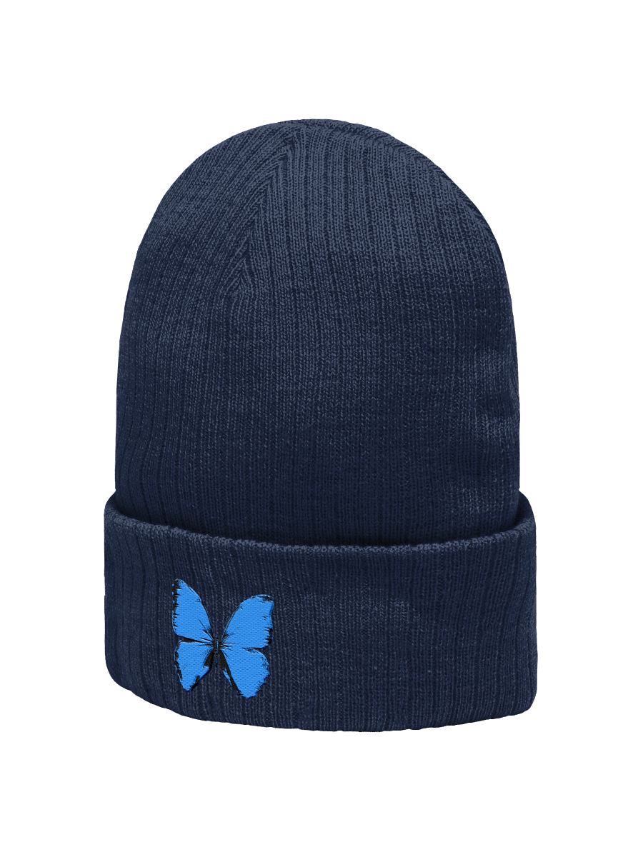 Blue Butterfly Embroidered Beanie product image (7)