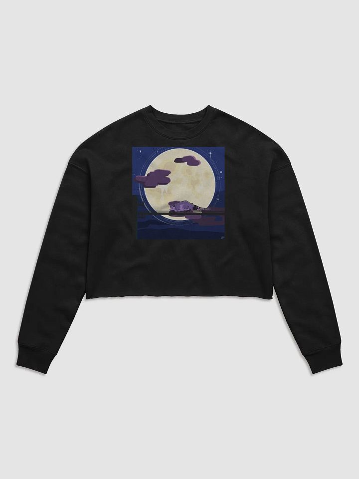 Poss on a Wire Crop Sweater product image (1)