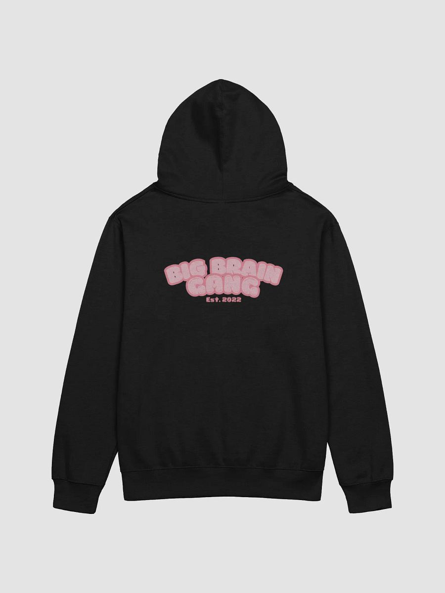 Brian Heart / Big Brain Gang Hoodie product image (15)