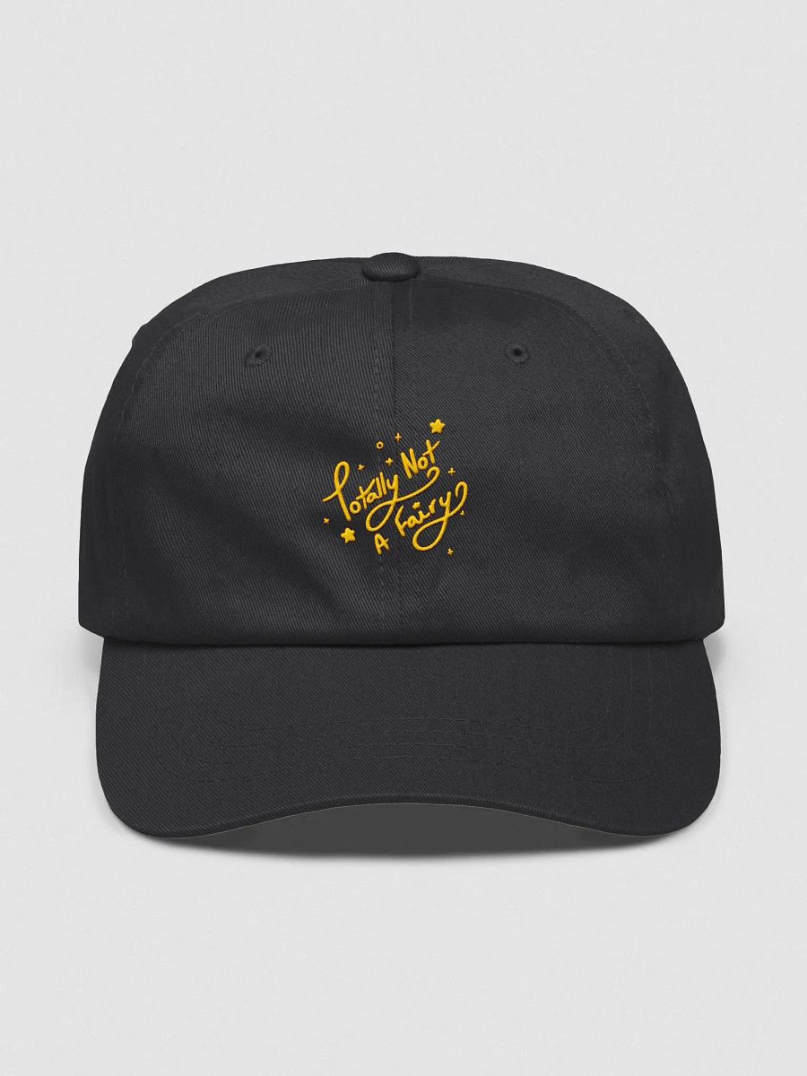 Not a Hat product image (1)