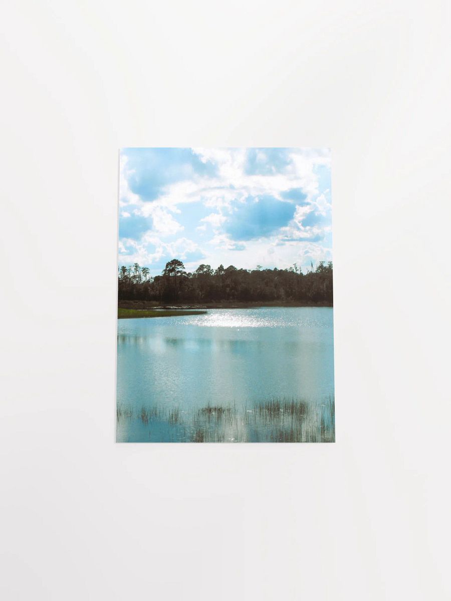 Florida Lake product image (49)