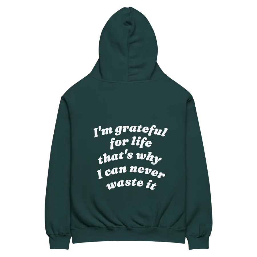 "Gratitude" Hoodie product image (4)