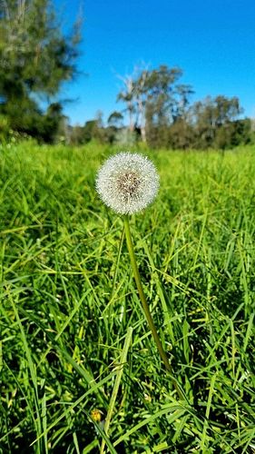 Outside

🎵 Slofi - Spring (Wild Horseradish Jam) [From 