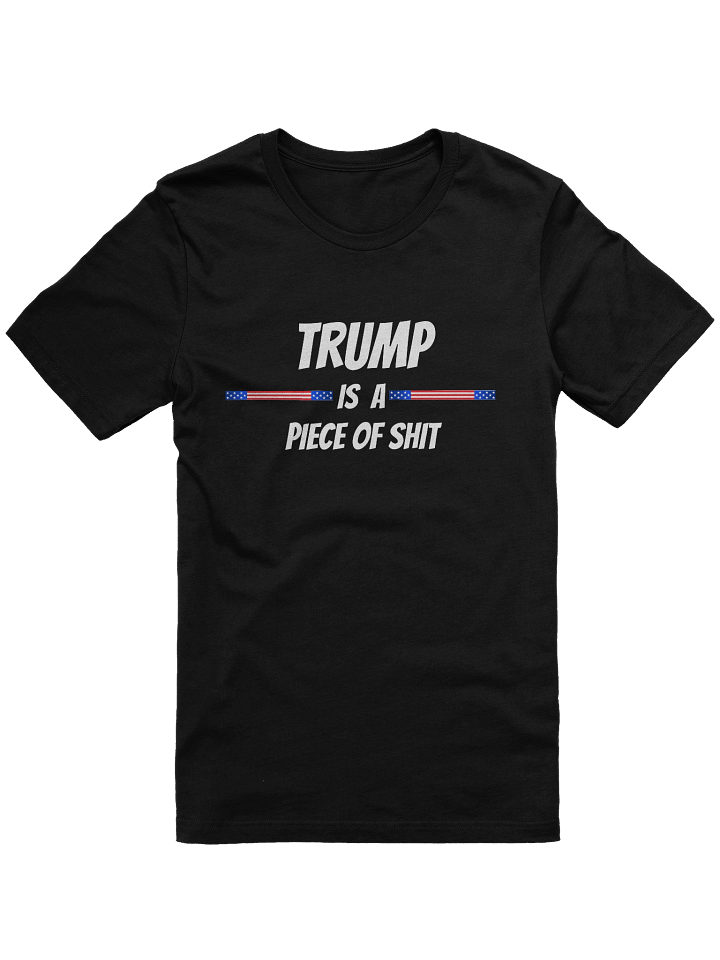 Trump is a POS Comfort Tee product image (5)