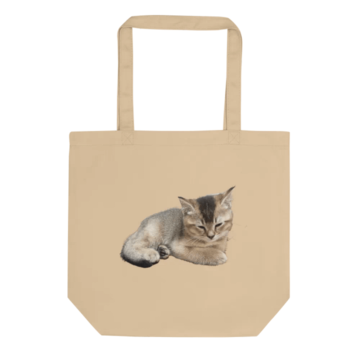 Sleepy Toby's Tote product image (1)
