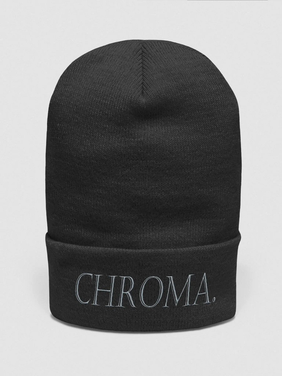 CHROMA BEENIE product image (1)