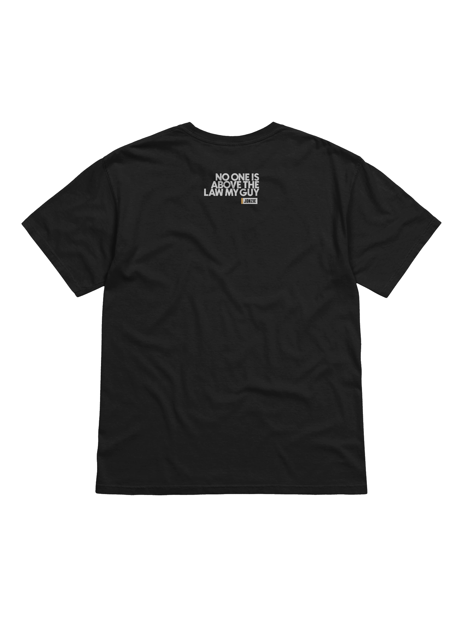 NO ONE IS ABOVE THE LAW T Shirt product image (2)