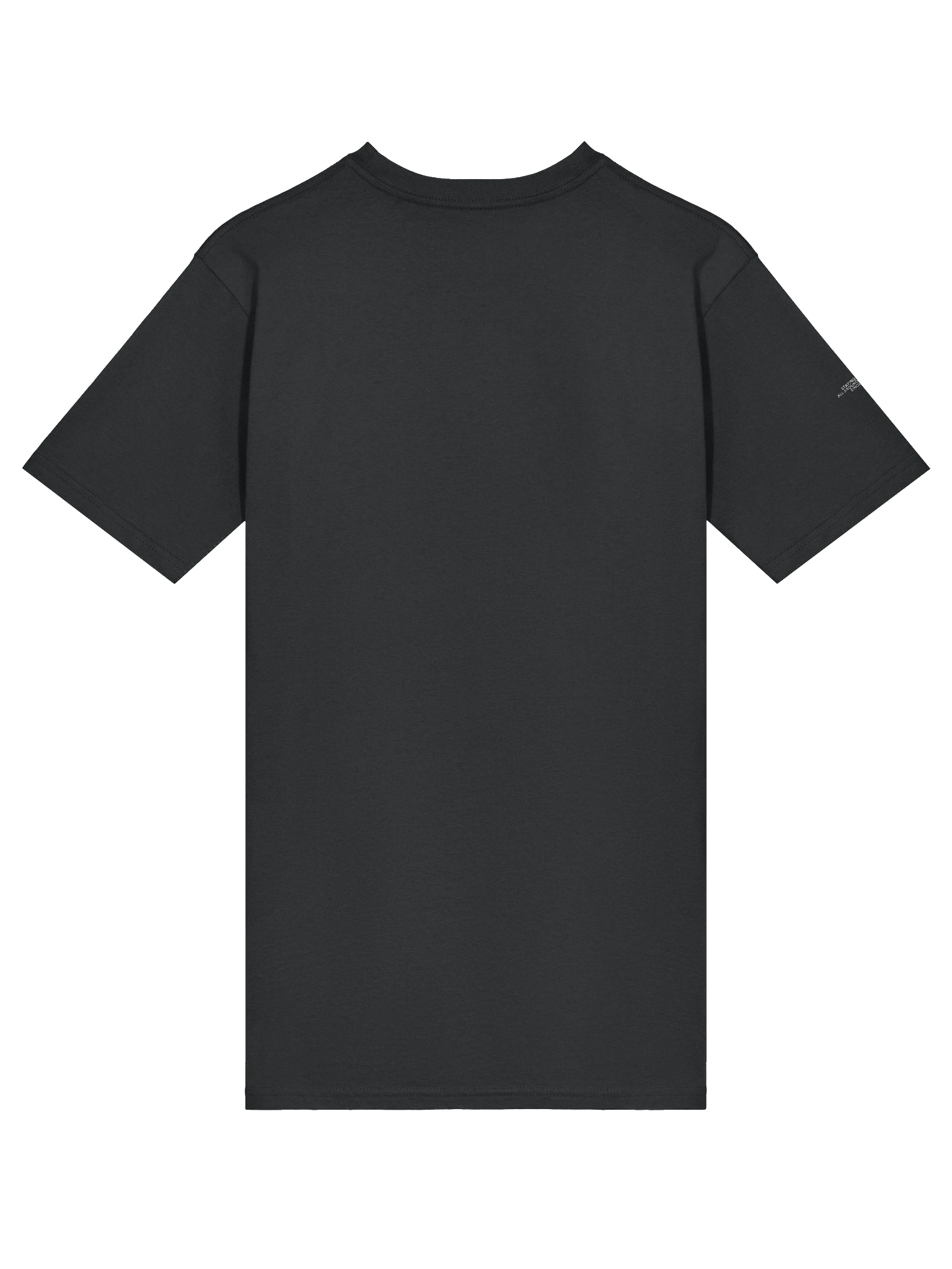 Centered Just Plain Mighty - Oversized Tee - Black product image (4)