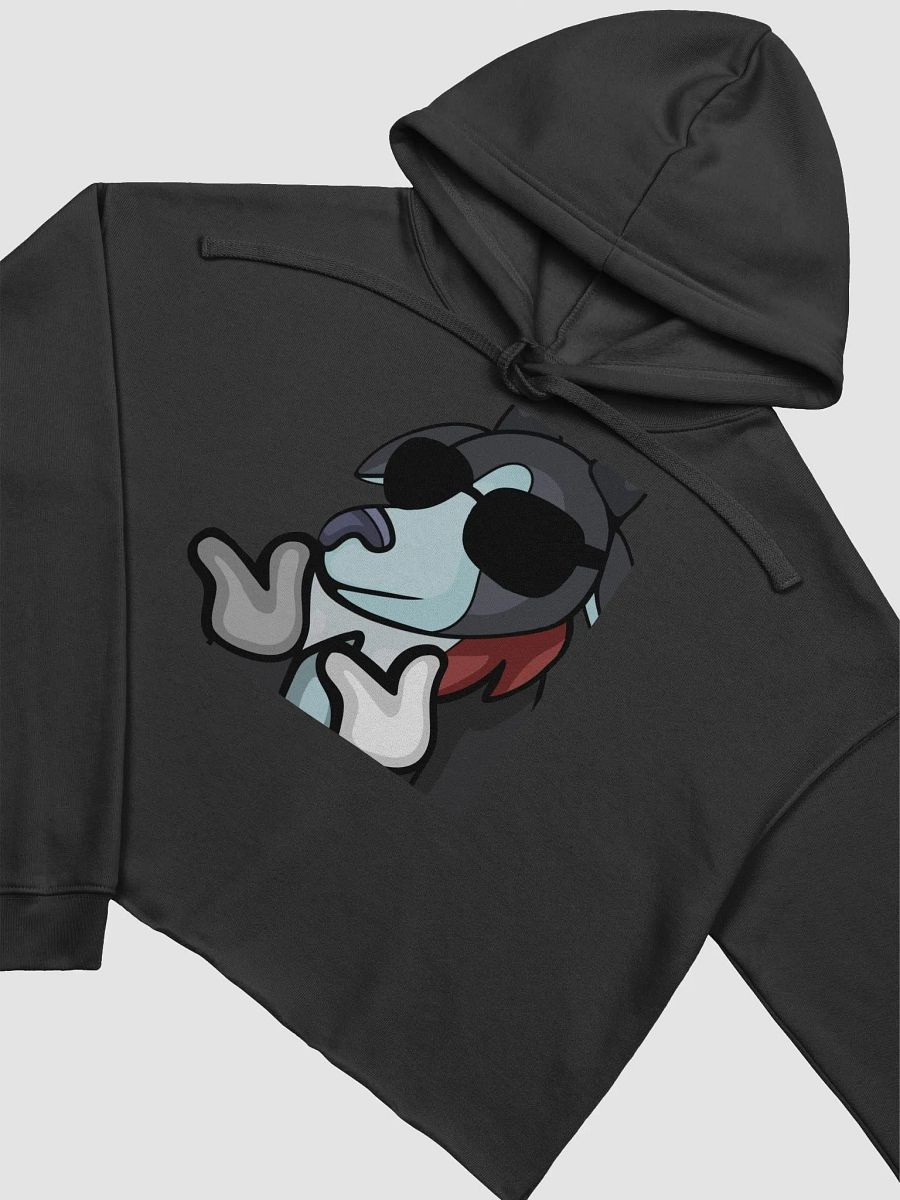 Cool Cropped Hoodie product image (12)
