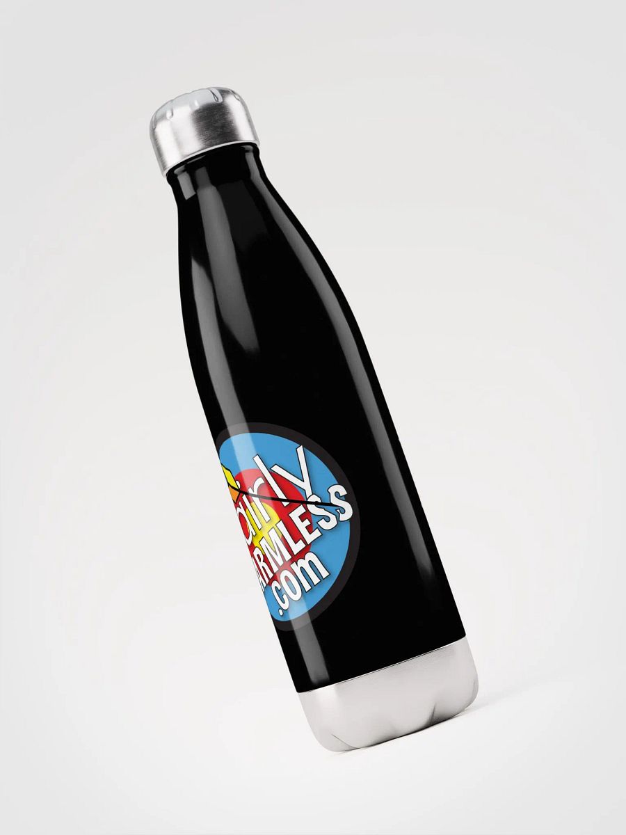Stainless Steel Water Bottle (Airplanes) product image (1)