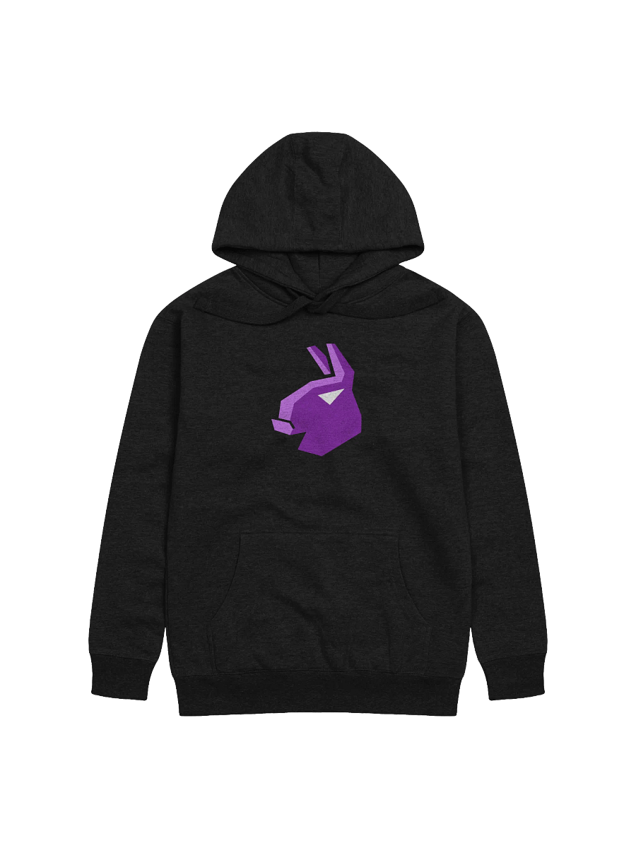 Dangit Black Hoodie product image (2)