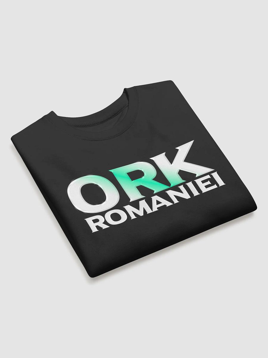 Premium Sweatshirt Black Ork. Romaniei x Alpen product image (3)