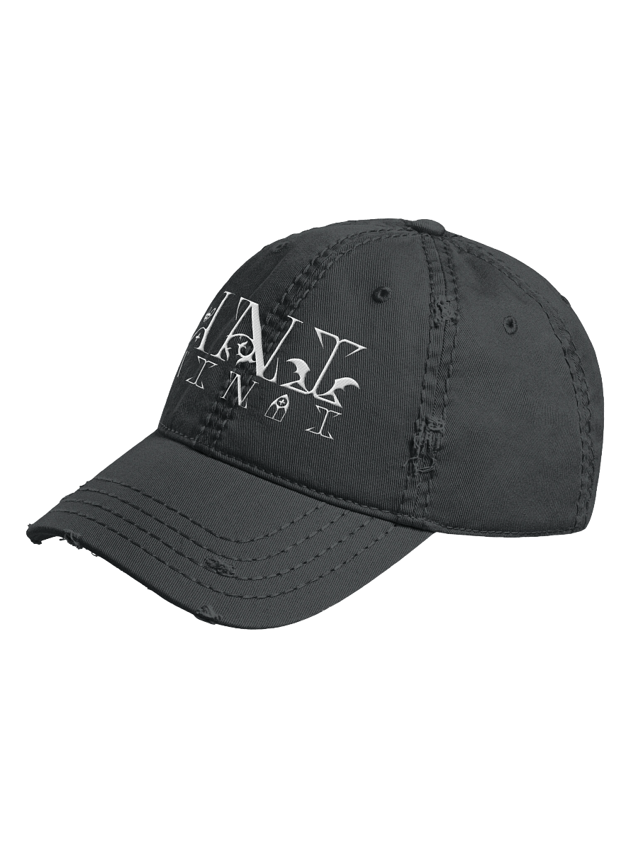Embroidered Ani Logo Distressed Hat product image (5)