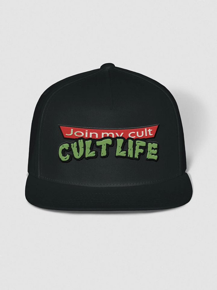 CULT LIFE TURTLES HAT product image (1)
