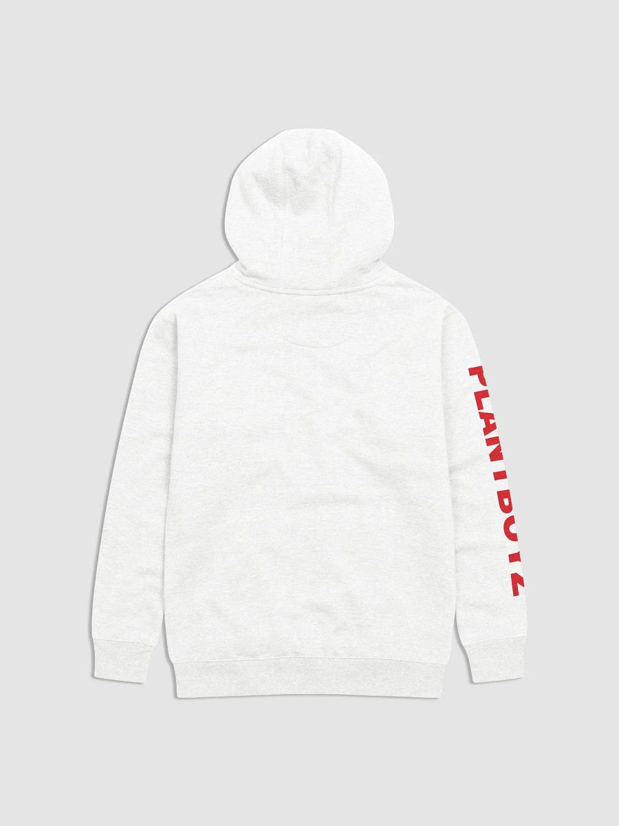 Nice Day Hoodie product image (2)