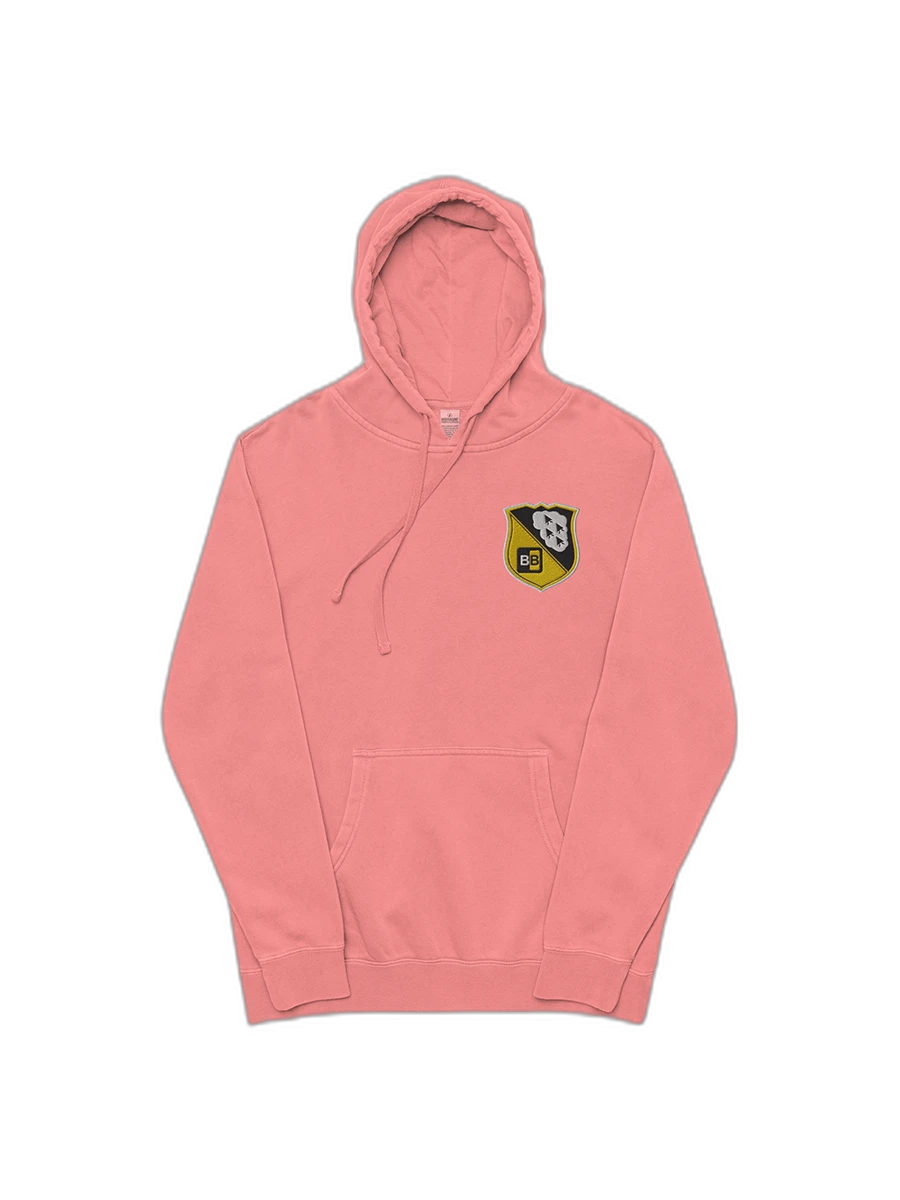 TBB (Embroidered) Look, hoodies are nice. product image (1)