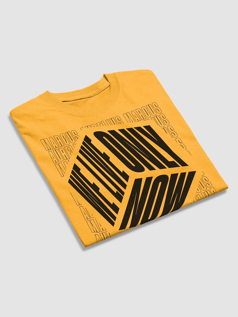 We Only Live Now Stoic Tshirt product image (6)
