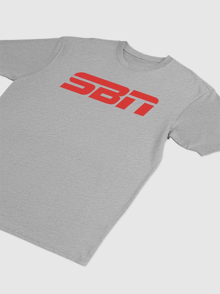 SBN Heavyweight T-Shirt Gray product image (2)