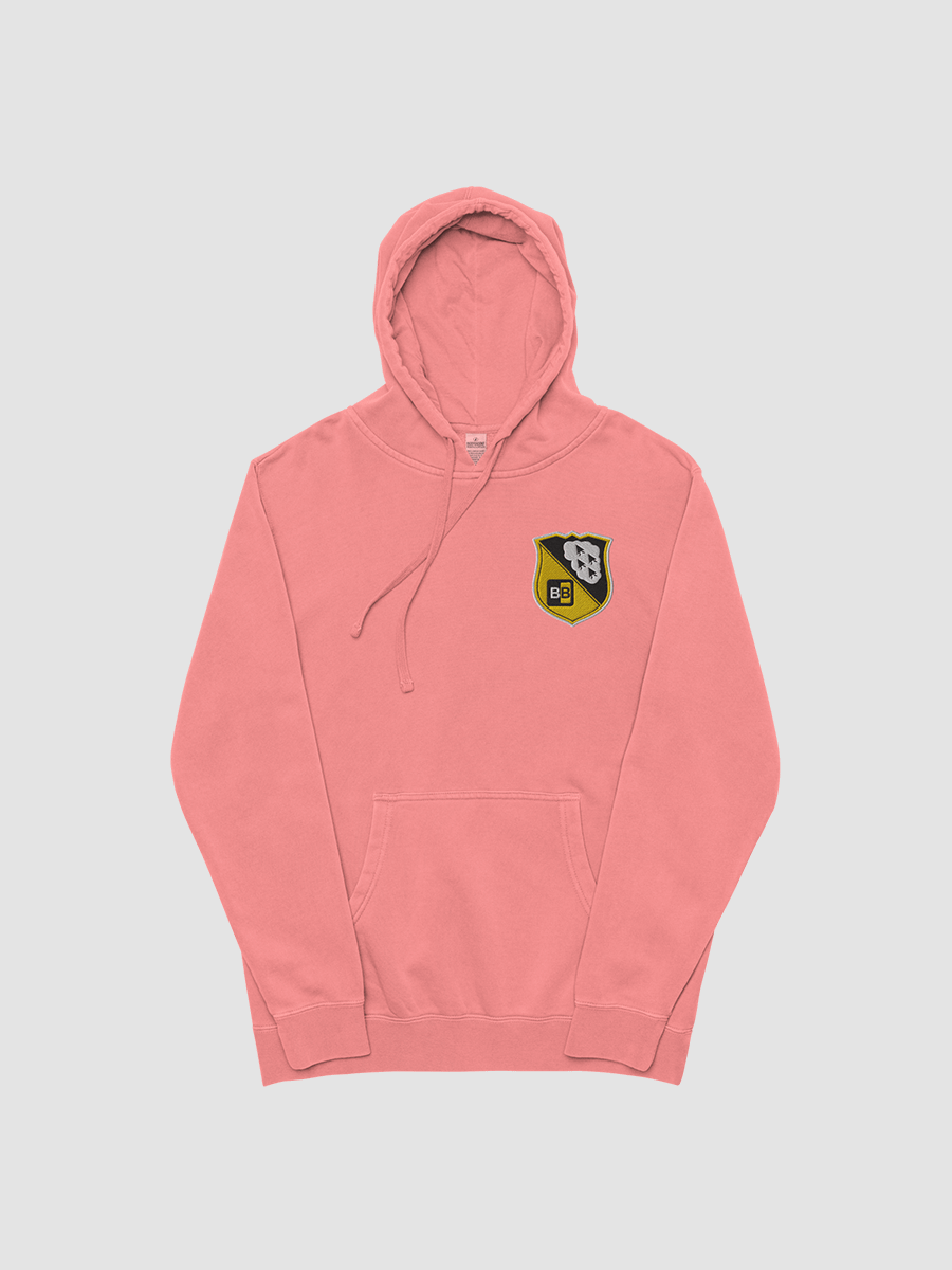TBB (Embroidered) Look, hoodies are nice. product image (2)